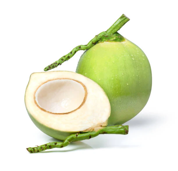 Coconut