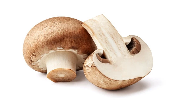 Mushroom