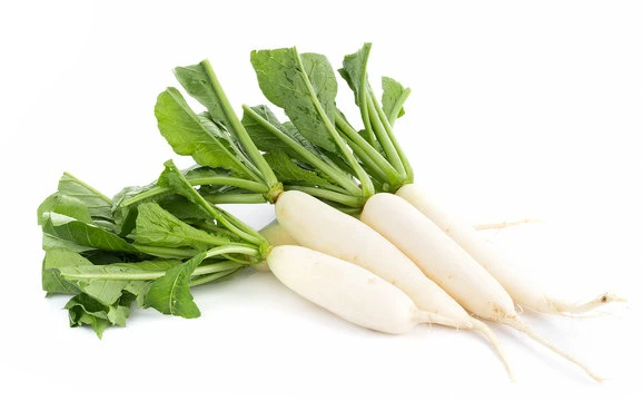 Raddish