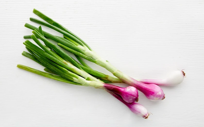 Spring Onion 