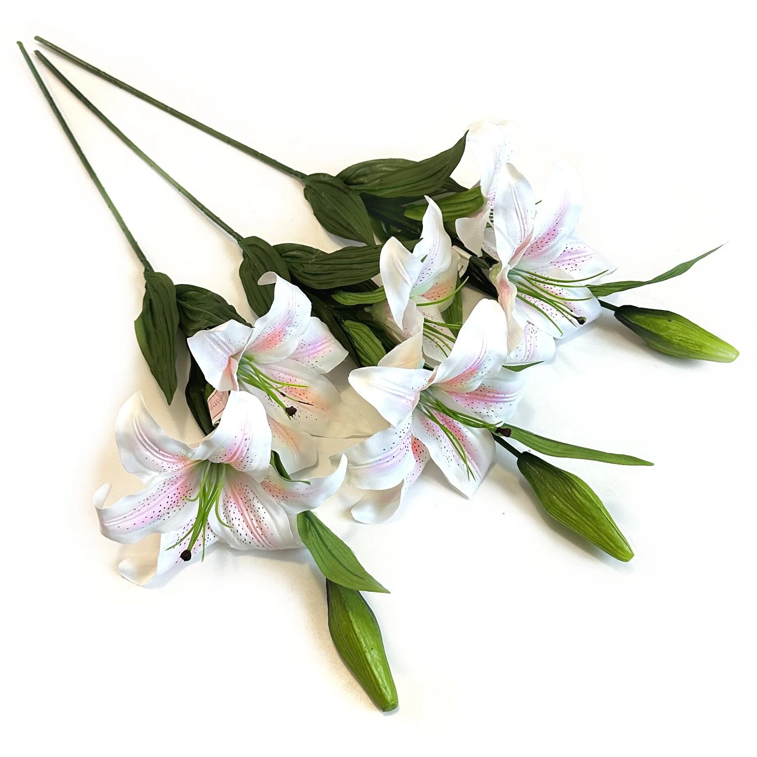 Tiger Lily