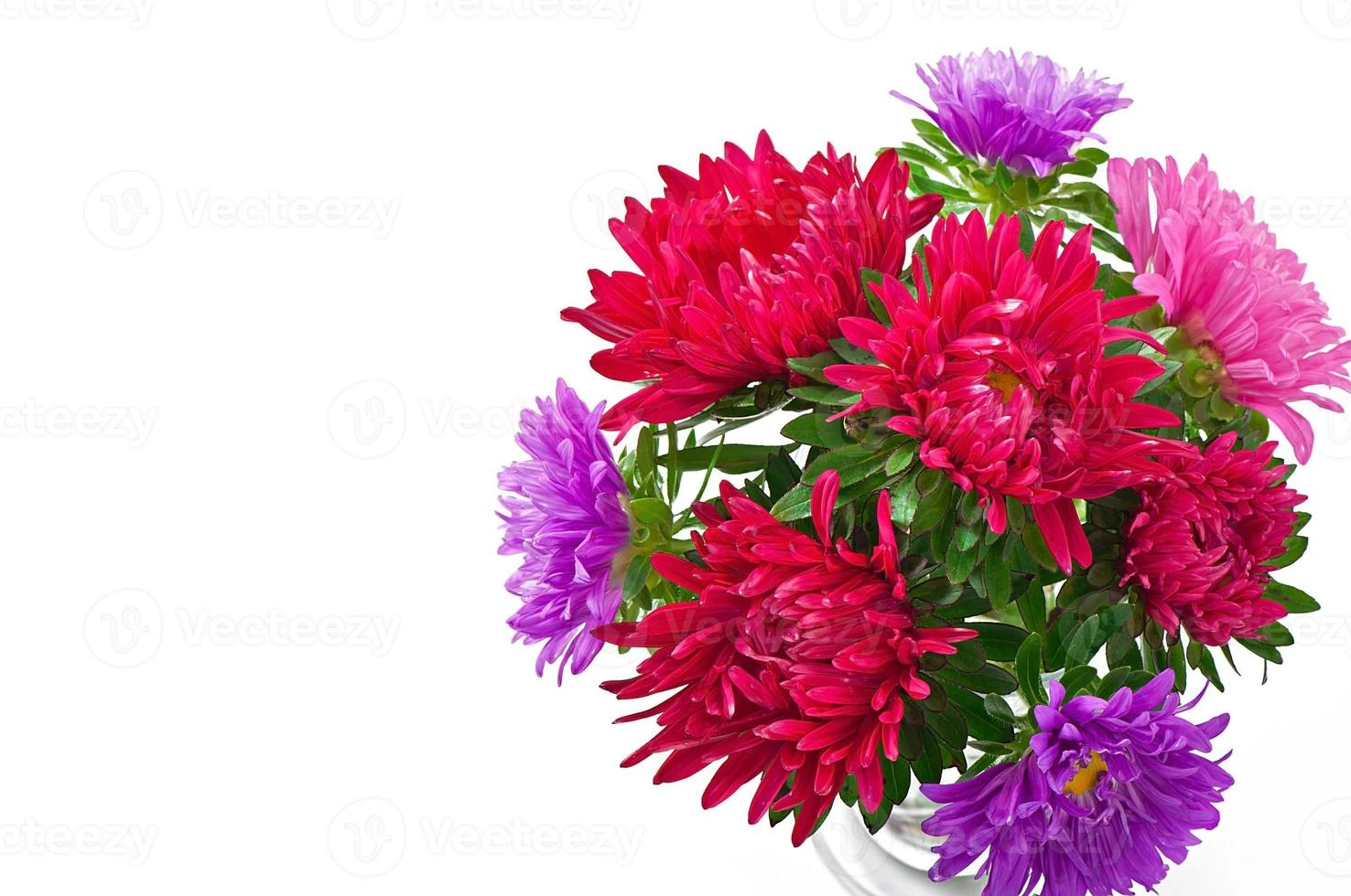 Aster