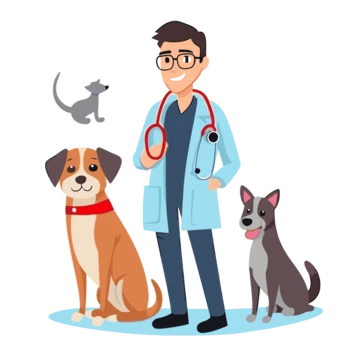 Vet